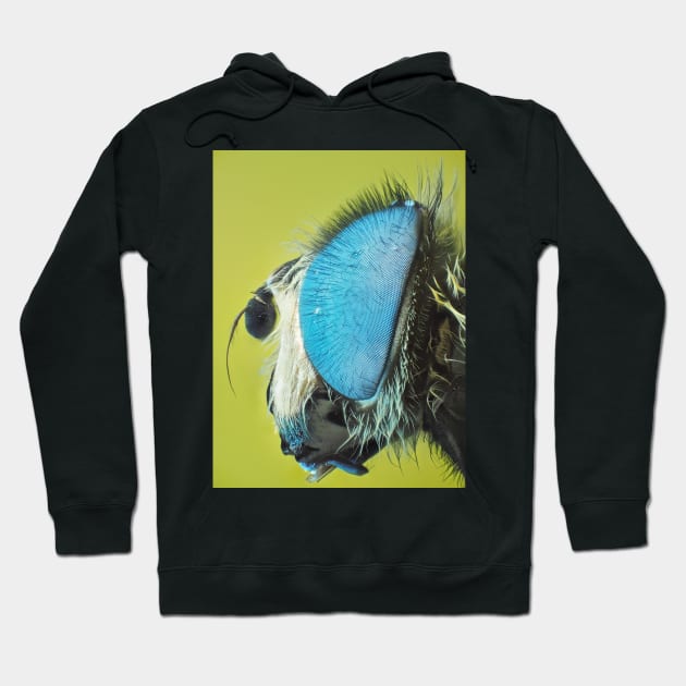 Hoverfly under ultraviolet light microscope Hoodie by SDym Photography